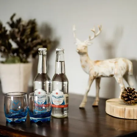 Zapotoczny 아파트호텔 자브